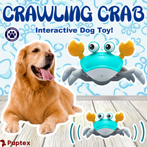 Crabe rampant – Jouet interactif pour chien 