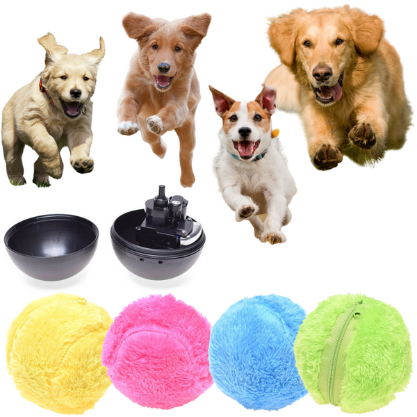 Boule roulante active (4 couleurs incluses)