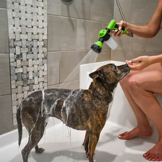 Hundewaschaufsatz 