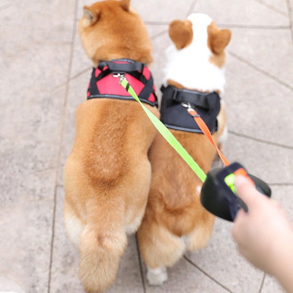 Rollleine für 2 Hunde