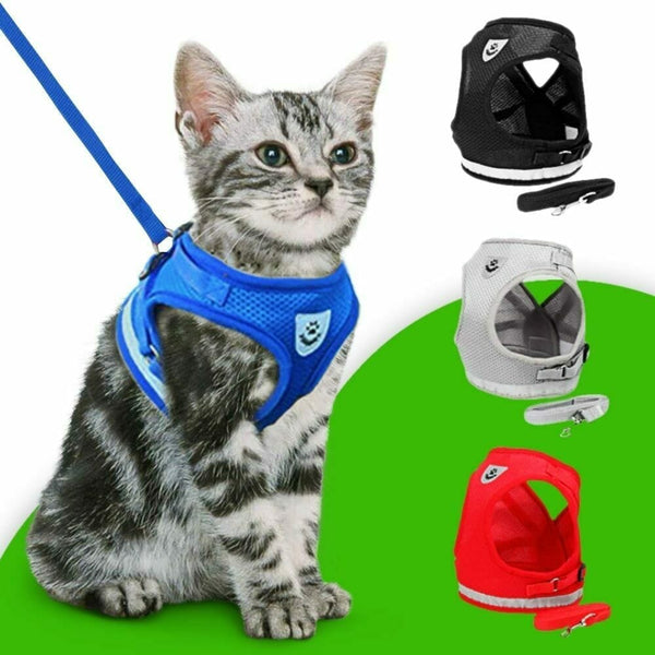 EasyWalk Katzengeschirr- und Leinenset