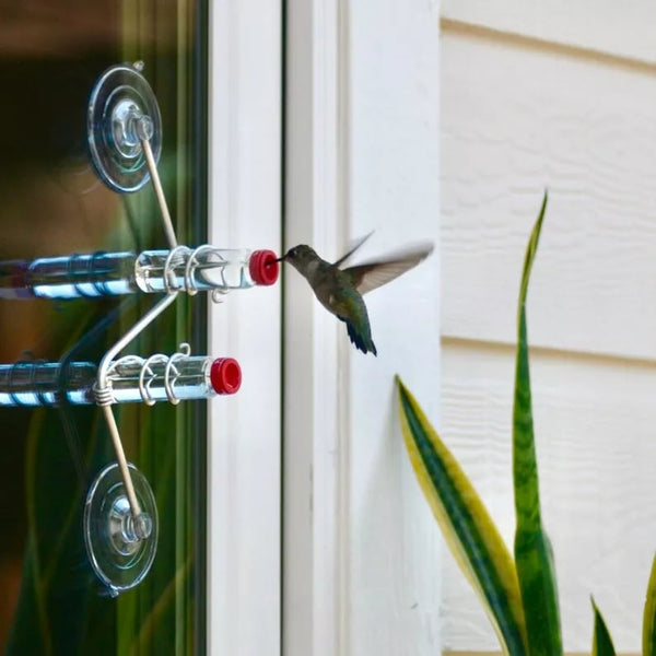 Geometrischer Kolibri-Futterspender für Fenster🐦