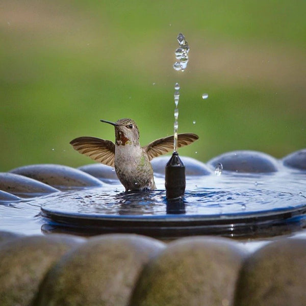 Solarbetriebener Springbrunnen
