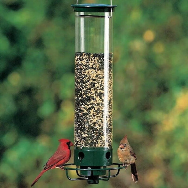 💥Neu im Frühjahr 2023💥100 ​​% eichhörnchensicherer Vogelfutterspender – 49 % RABATT🔥