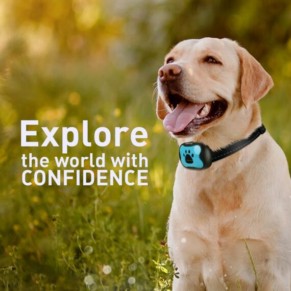 Omayli PuppyLove – Collier anti-aboiements 